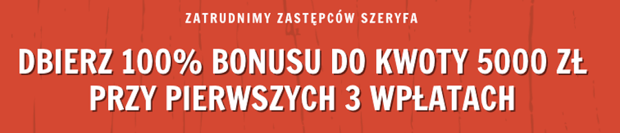 Bonus powitalny w Rapid Casino
