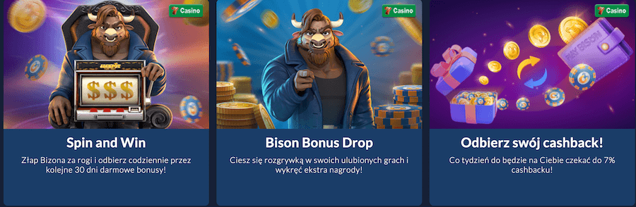 Inne promocje i bonusy w Playbison.