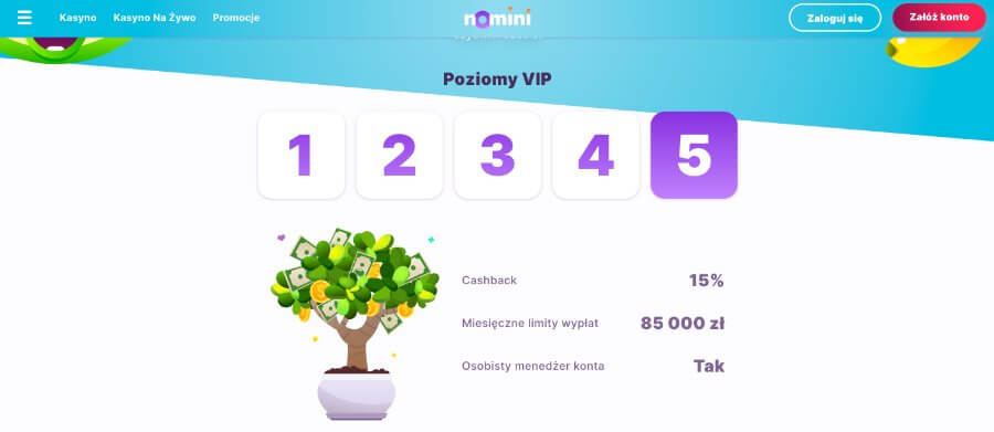 Program VIP w Nomini