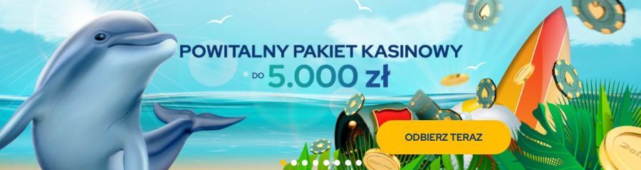 Bonus powitalny w kasynie Dolfwin